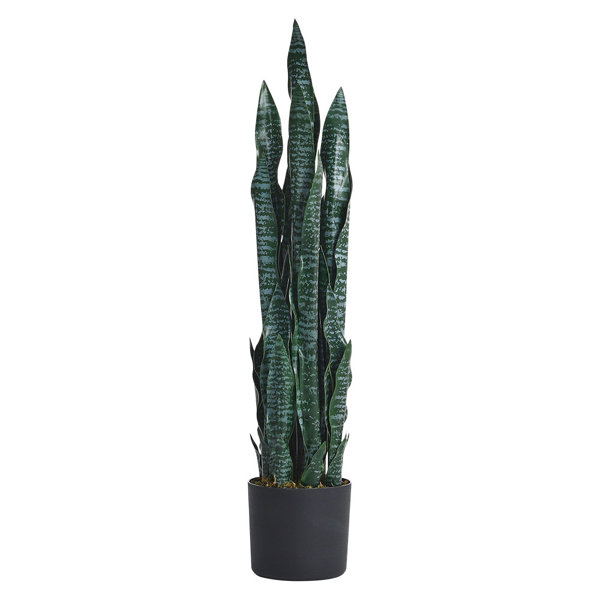 The Seasonal Aisle 90Cm Faux Snake Plant in Pot Wayfair.co.uk